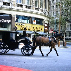 13. London Y7 Trafalgar Square 6.5.1980 London 1st Year Trip 1980 | David Aldred