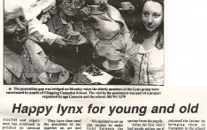 Happy Lynx for Young and Old