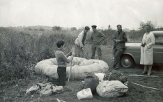 Scouts