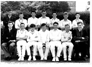RP Cricket Team Robin Print
