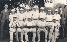 Cricket