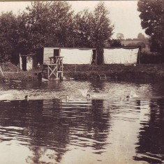 Swimming Sports 1913 at the Lake | Don Ellis