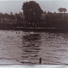 Swimming Sports 1913 at the Lake | Don Ellis