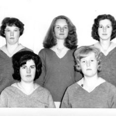 Peter Ellis Photos
